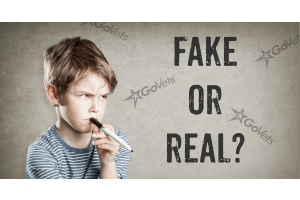 Is GoVets Fake or Real?