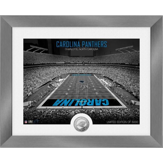 Carolina Panthers Art Deco Stadium Silver Coin Photo Mint PHOTO14519K