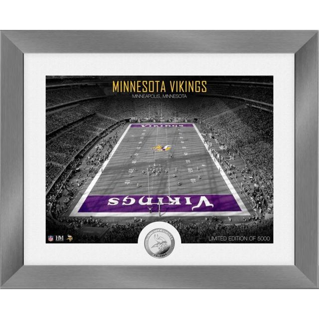 Minnesota Vikings Art Deco Stadium Silver Coin Photo Mint PHOTO14534K