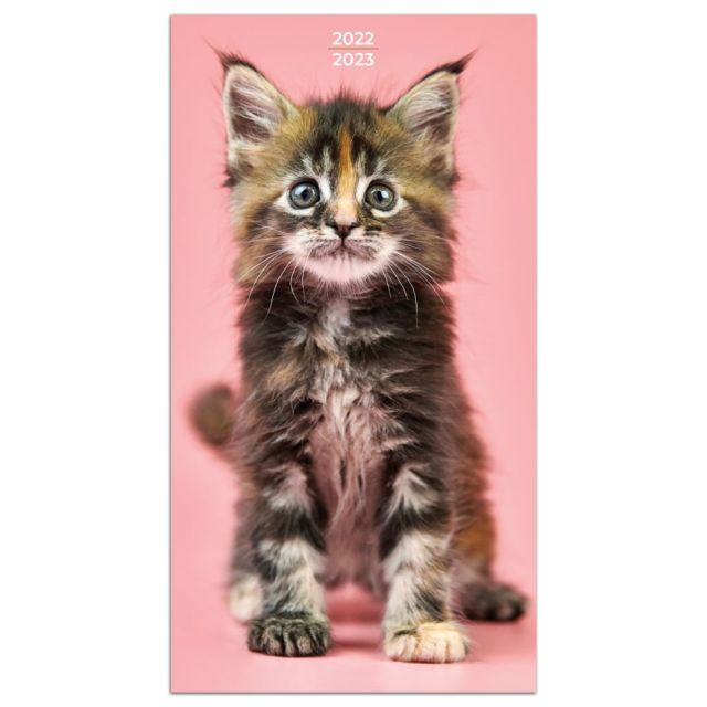TF Publishing 2-Year Monthly Pocket Planner, 3-1/2in x 6-1/2in, Kittens, January 2022 To December 2023 (Min Order Qty 5)
